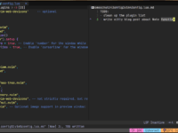 neovim showing a notes split